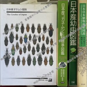 日本草木植物根系図説
