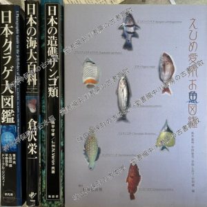 日本クラゲ大図鑑