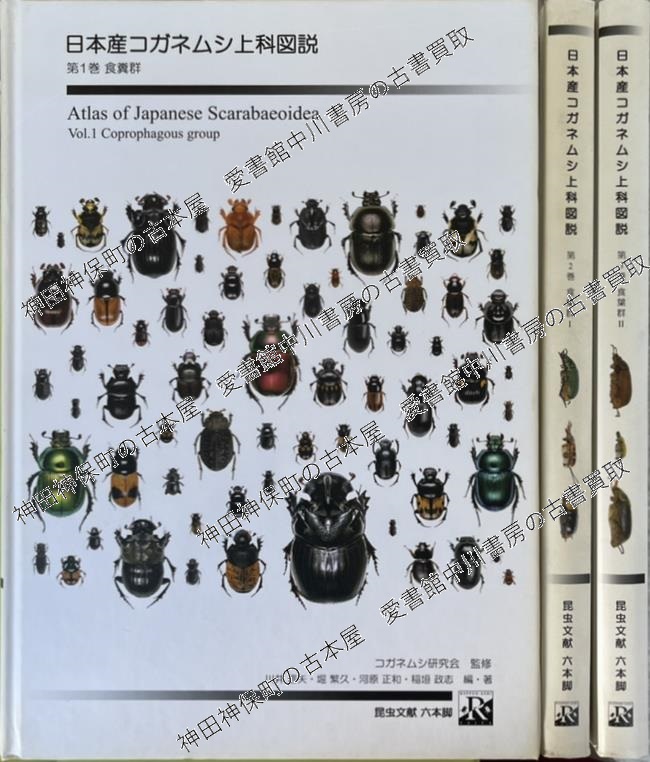 54000円→42000円日本産コガネムシ上科図説　昆虫標本 期間限定値下げ　６月１８日まで