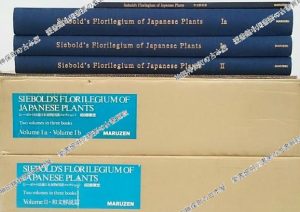 シーボルト旧蔵日本植物図譜コレクション
